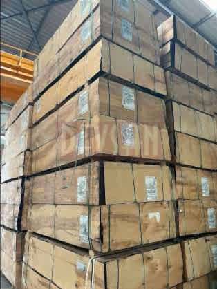 PlyWood - SyPly 13 Katman - İthal